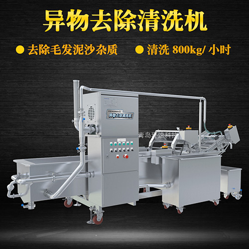 大型果蔬清洗機(jī)，氣泡清洗，清洗800kg小時