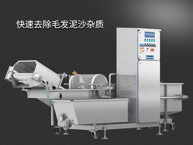 果蔬清洗機(jī)制造廠家，氣泡清洗，清洗800kg/小時(shí)